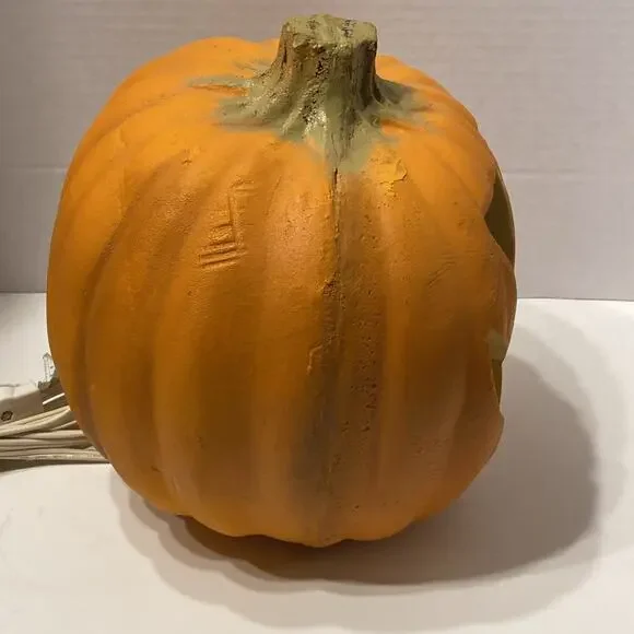 • - Picture 3 of 11